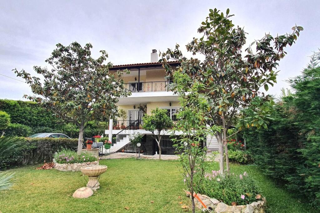 Vacation Studio Oropos Nea Palatia Kültér fotó